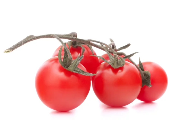 Tomate cereza —  Fotos de Stock