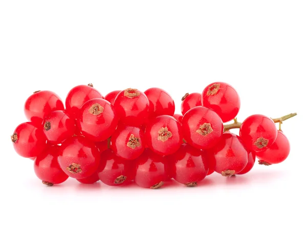 Red currants — Stock Photo, Image