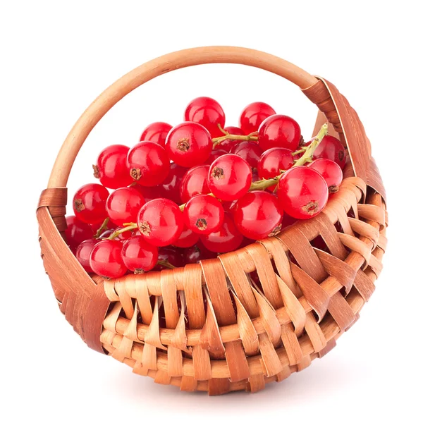 Grosellas rojas en cesta — Foto de Stock