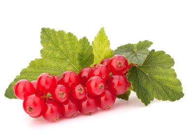 Kırmızı kuş üzümü ve yeşil yaprakları natürmort