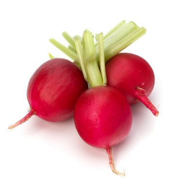 küçük Bahçe turp