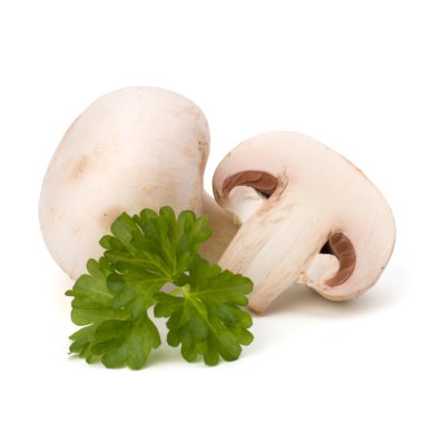 champignon mantar ve taze maydanoz