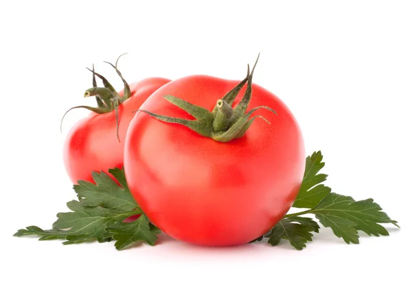 Two tomato vegetables and parsley leaves still life — Stock Photo, Image