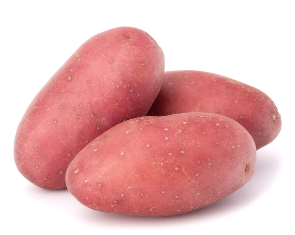 Ny potatis knölen heap — Stockfoto