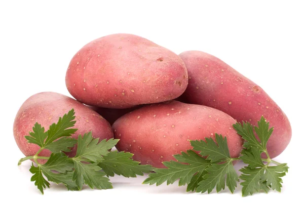 New potato tuber heap and parsley leaves — Stock Photo, Image
