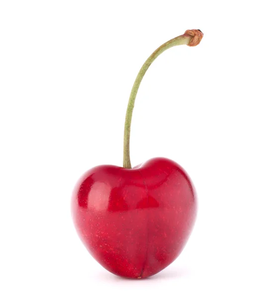 Hjärtformade cherry berry — Stockfoto