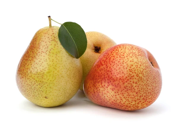 PEAR vruchten — Stockfoto