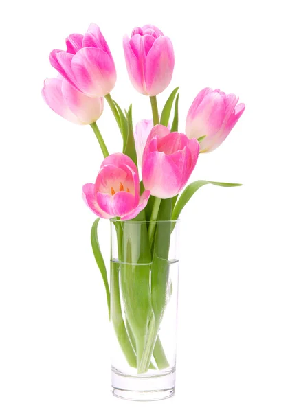 Růžové tulipány kytice ve váze izolované na bílém pozadí — Stock fotografie