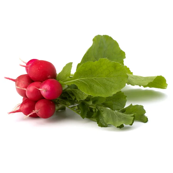 Small garden radish — Stock Photo, Image