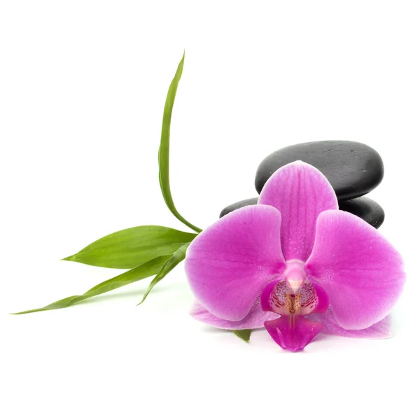 Zen pebbles balance. Spa and healthcare concept. — Stock Photo, Image