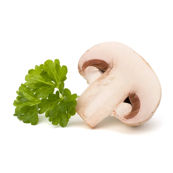 Champignon mushroom and fresh parsley — Stock Photo, Image
