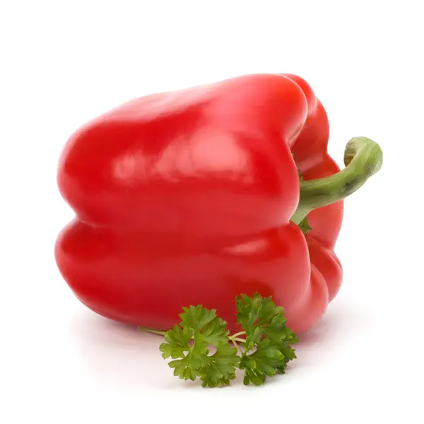 Red pepper isolated on white background — Stock Photo, Image