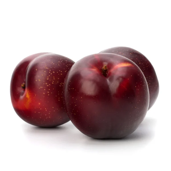 Frutto di prugna rossa — Foto Stock
