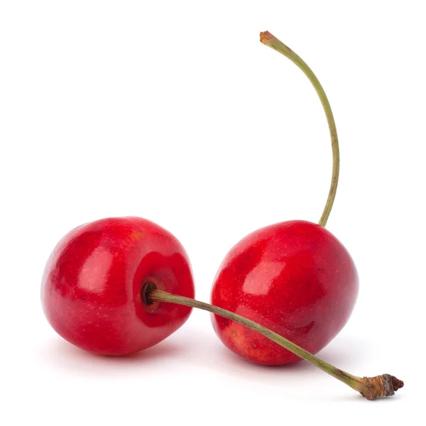 Two cherry berries — Stock Photo, Image