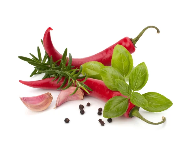 Chili peper en smaakstof kruiden — Stockfoto