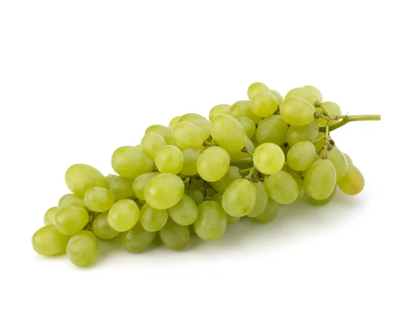 Doskonały bukiet z białych winogron — Zdjęcie stockowe