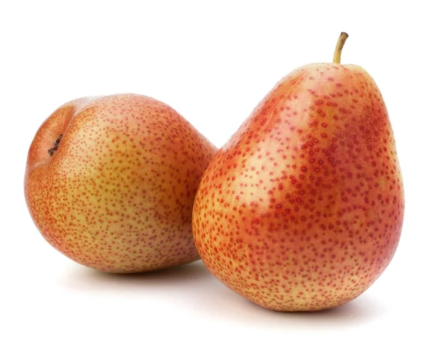 Pear fruits — Stock Photo, Image