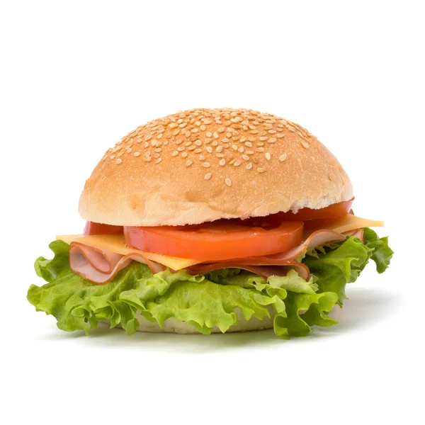 Junk food hamburger — Stock Photo, Image