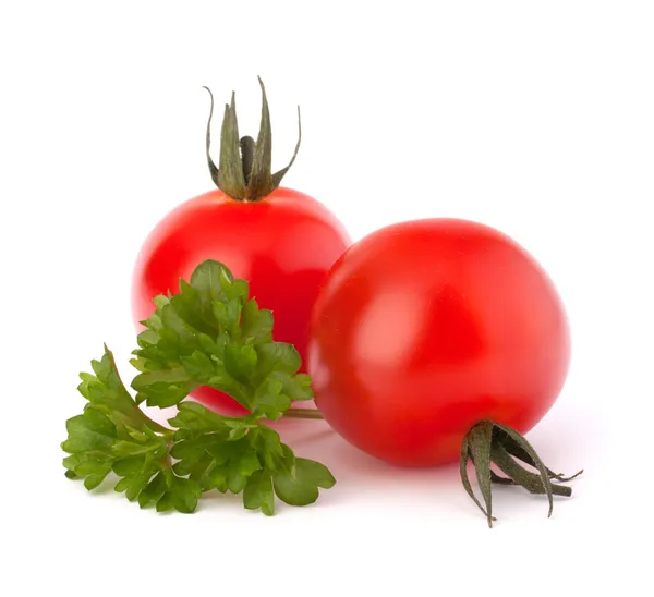 Малый помидор черри и специи петрушки — стоковое фото