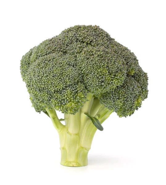 Légumes brocoli — Photo