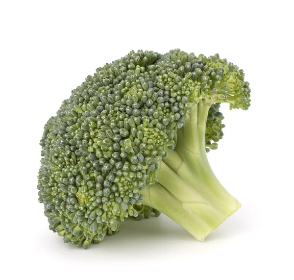 Broccoli vegetabiliska — Stockfoto