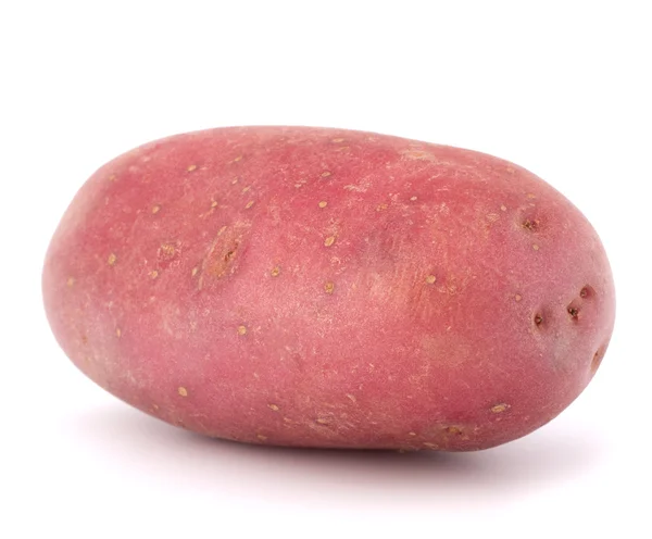 New potato tuber — Stock Photo, Image