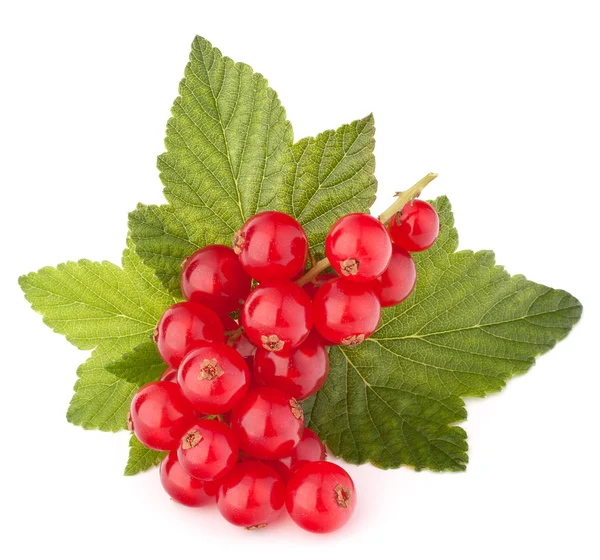 Grosellas rojas y hojas verdes bodegón —  Fotos de Stock