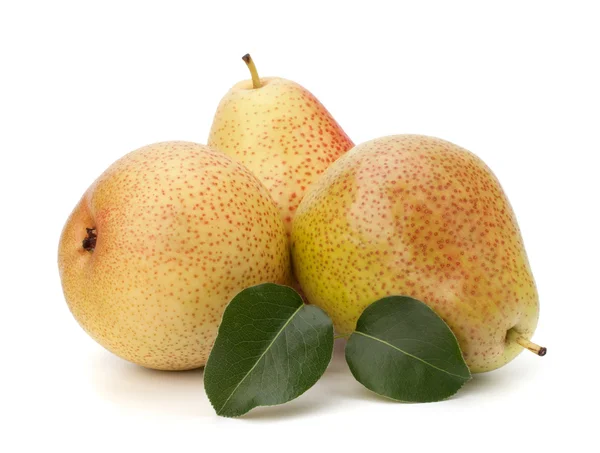 PEAR vruchten — Stockfoto