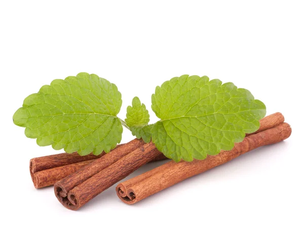 Palitos de canela y hoja de menta fresca — Foto de Stock