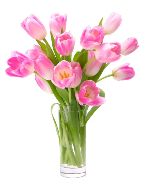 花瓶中的粉红郁金香花，白色背景隔离 — 图库照片