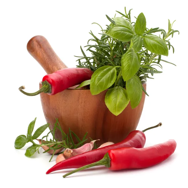 Fresh flavoring herbs and spices in wooden mortar — Stock Photo, Image