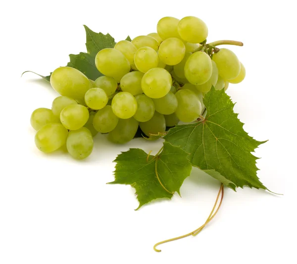 Ripe grape whith leaf — Stock Photo, Image