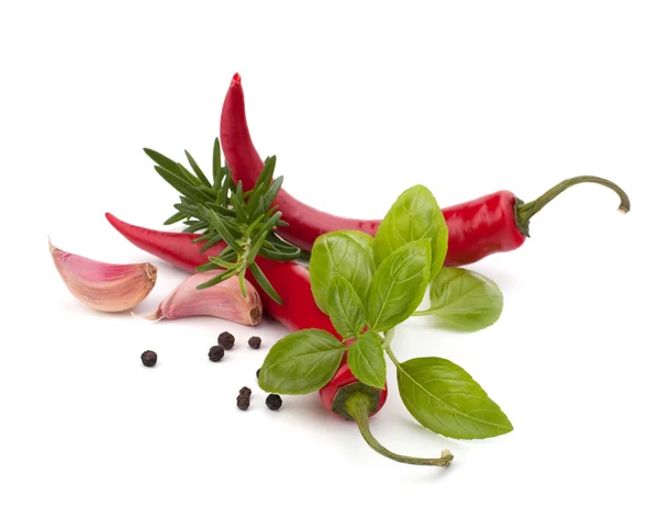 Chili pepper and flavoring herbs — Stock Photo, Image