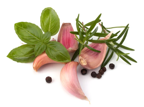 Diente de ajo, albahaca y hoja de romero — Foto de Stock