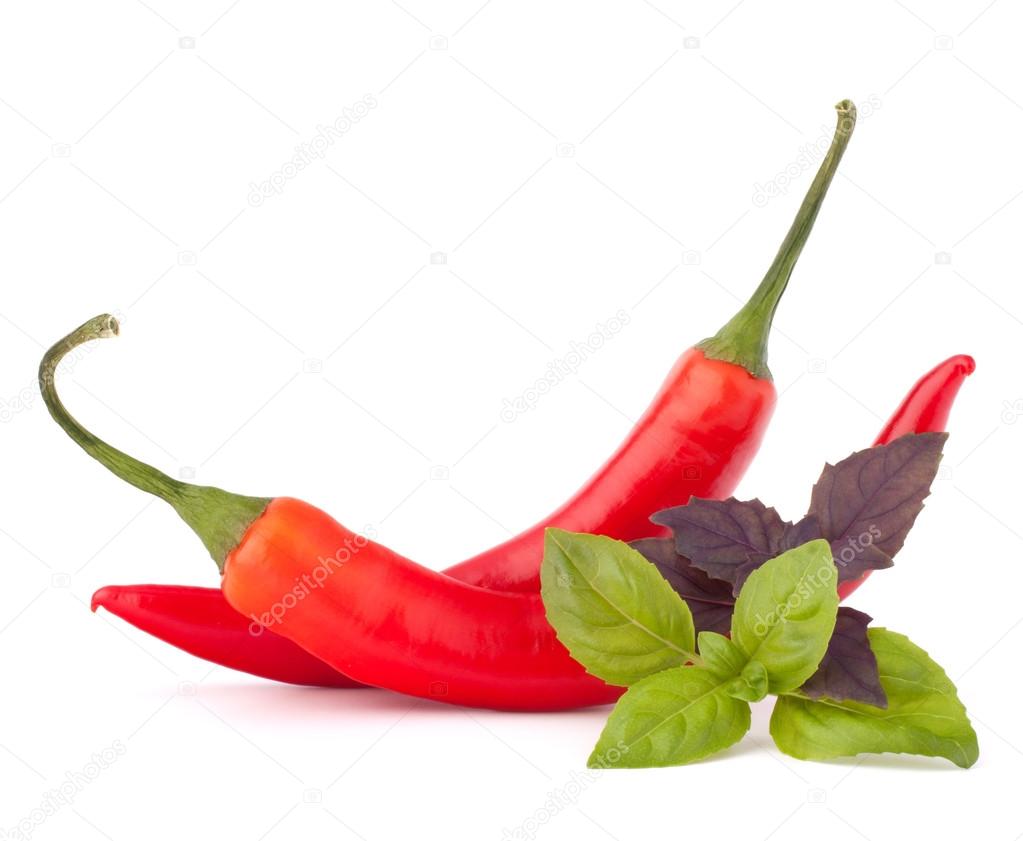 Hot red chili or chilli pepper and basil leaves still life