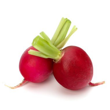 küçük Bahçe turp