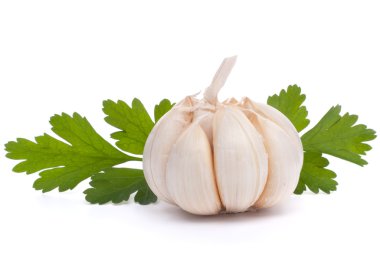 sarımsak ampul