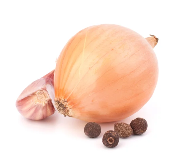 Onion and garlic clove — Stock Photo, Image