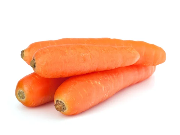Καρότο κονδύλων — Φωτογραφία Αρχείου