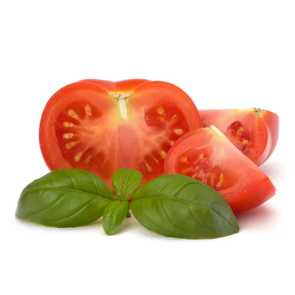 Liści pomidorów i bazylii — Zdjęcie stockowe