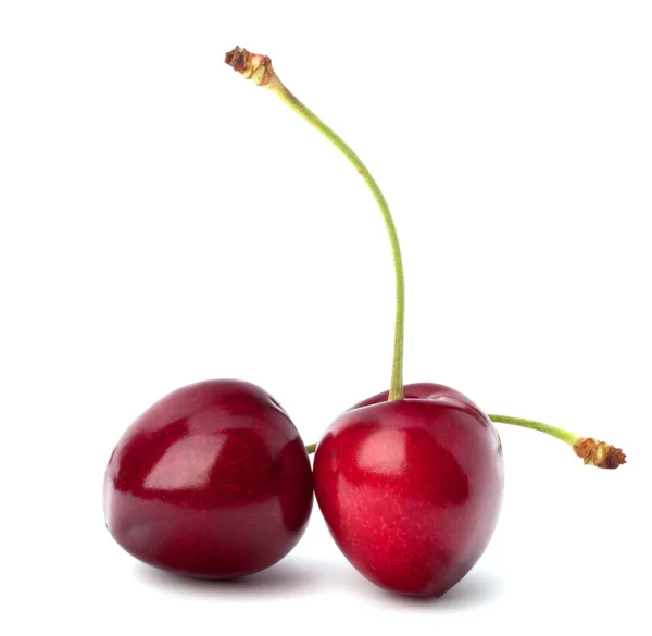 Two cherry berries — Stock Photo, Image