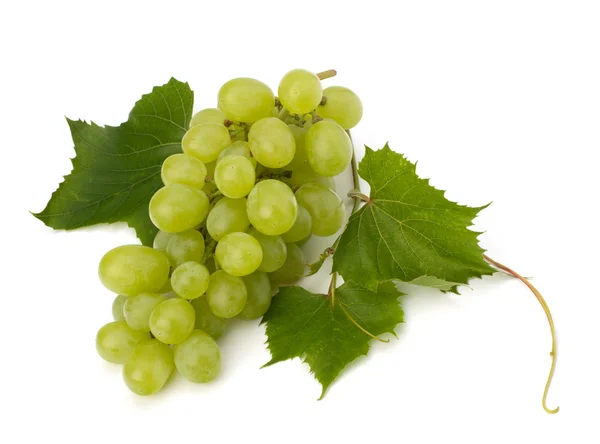 Ripe grape whith leaf — Stock Photo, Image