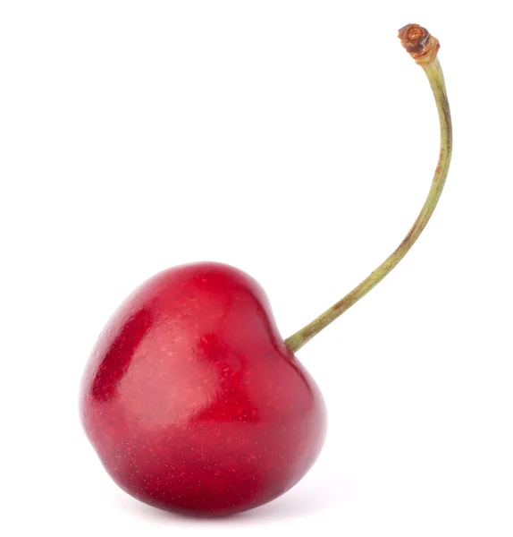 Hjärtformade cherry berry — Stockfoto