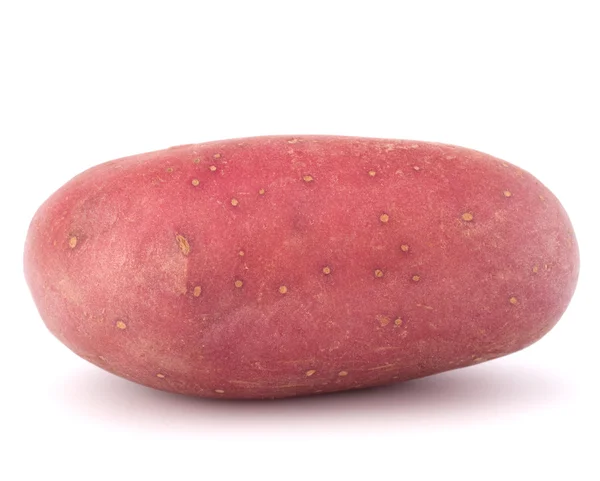 New potato tuber — Stock Photo, Image