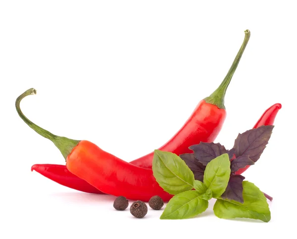 Hot red chili or chilli pepper and basil leaves still life — Stock Photo, Image