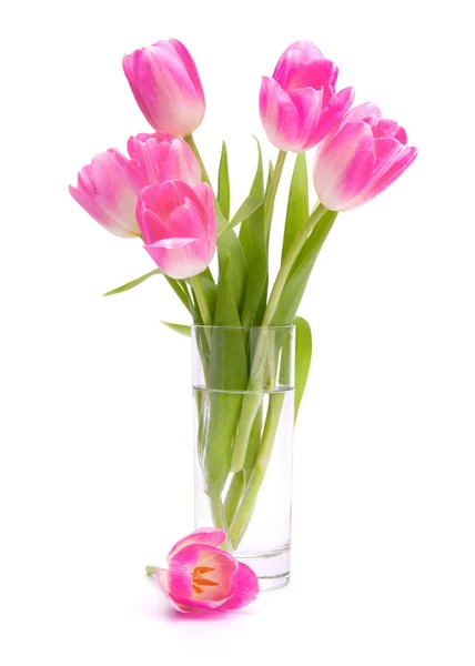 Pink tulips bouquet in vase isolated on white background — Stock Photo, Image