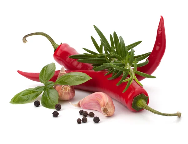 Chili peber og smagsgivende urter - Stock-foto