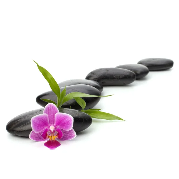 Camino de guijarros zen. Spa y concepto de salud . —  Fotos de Stock