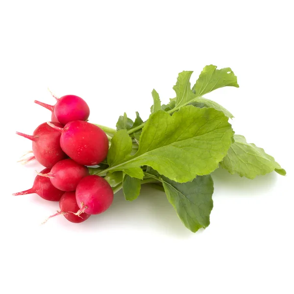 Small garden radish — Stock Photo, Image