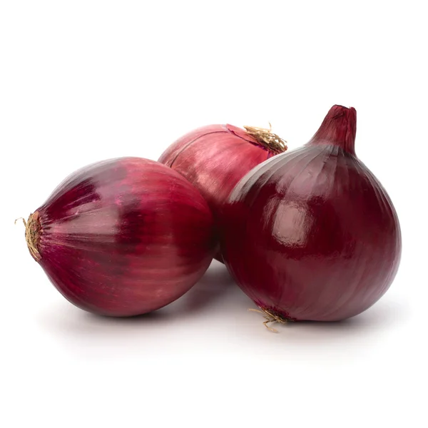 Red onion tuber — Stock Photo, Image